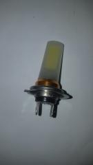 GLOBE LED H7 12/24V